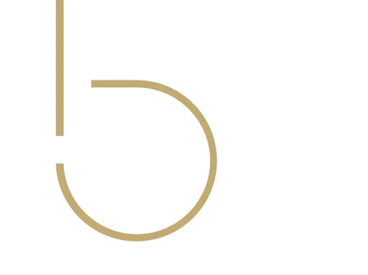 B100